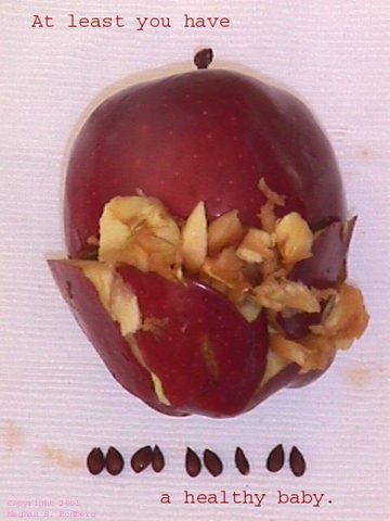 bebé