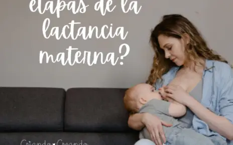 Etapas de la lactancia materna