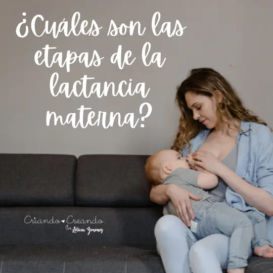 Etapas de la lactancia materna